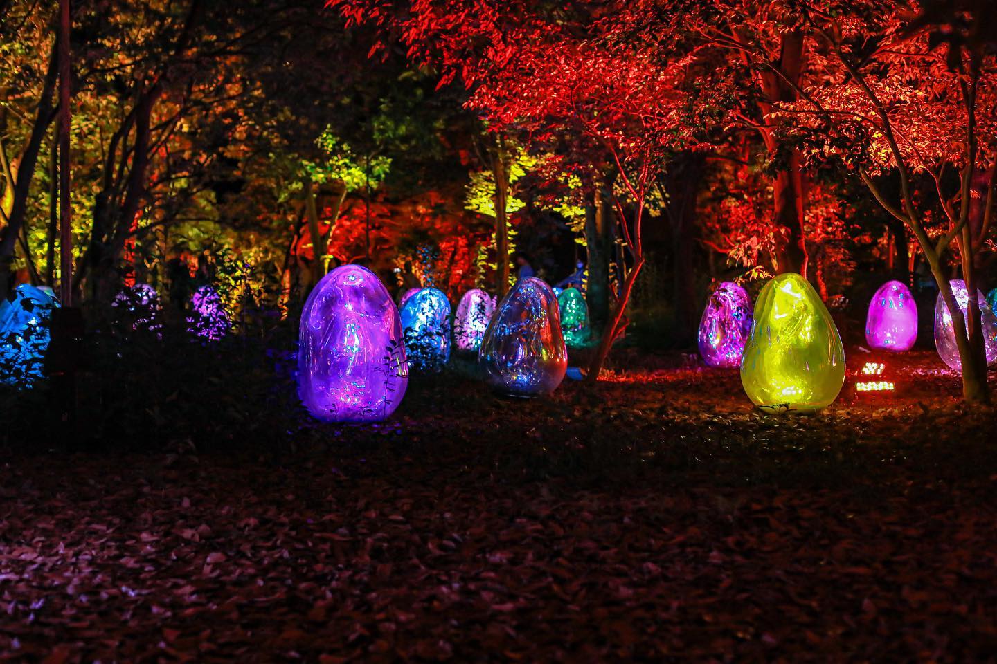 [Official] teamLab Botanical Garden Osaka teamLab Night OpenAir Museum