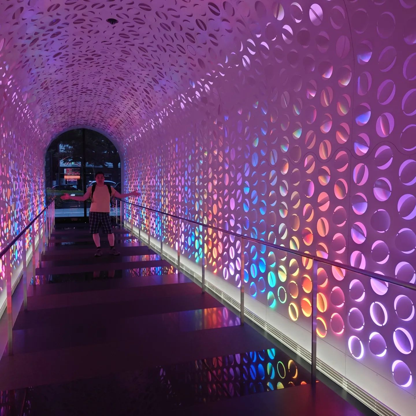 [Official] teamLab Botanical Garden Osaka teamLab Night OpenAir Museum