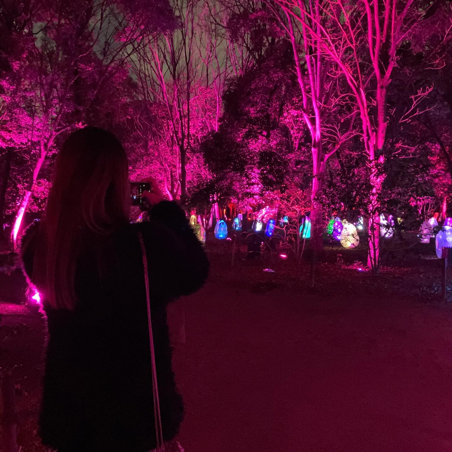 [Official] teamLab Botanical Garden Osaka | teamLab Night Open-Air Museum