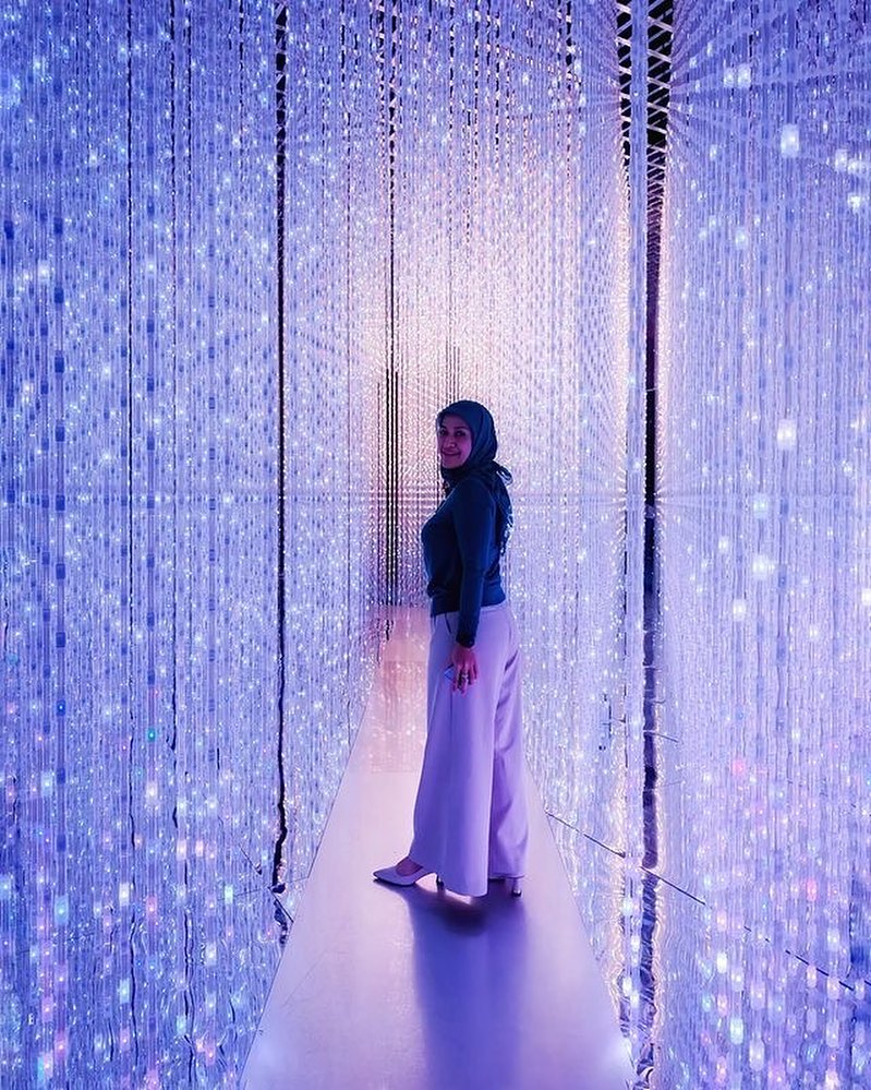 Future World: Where Art Meets Science, 艺术科学博物馆, 新加坡 | TeamLab